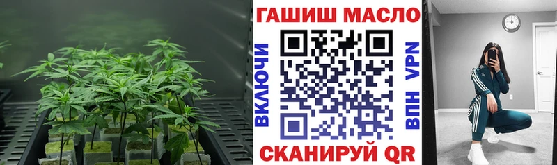 Дистиллят ТГК гашишное масло  Ува 