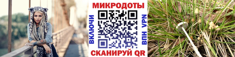 кракен ССЫЛКА  Ува  Галлюциногенные грибы Psilocybe  закладки 